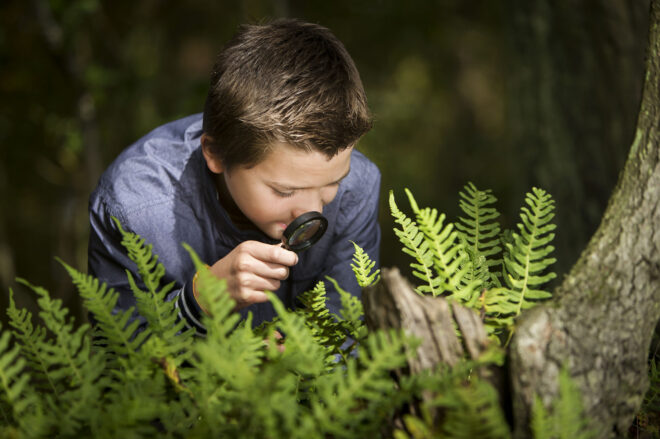 De speurneus in het bos | Provinciaal Natuurcentrum Limburg